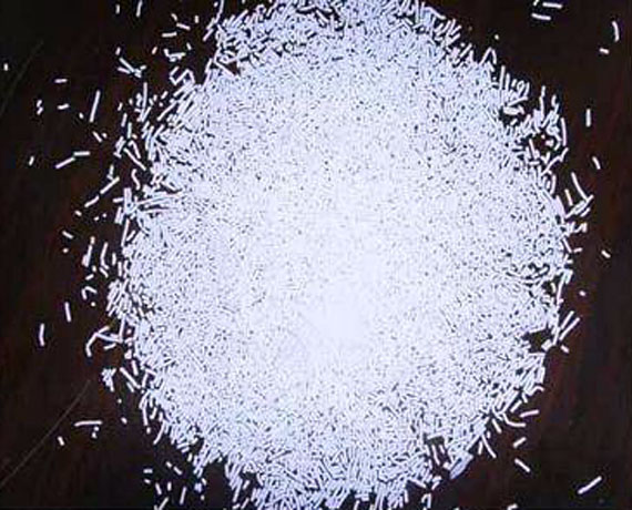 Sodium Lauryl Sulphate(SLS)